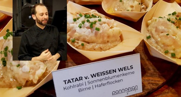Der Pannonist